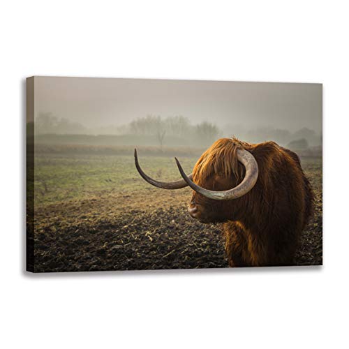 Poster vache Highland pour habiller un grand mur vide de salon