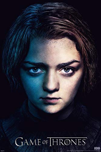 Pyramid America Game of Thrones S3 Arya TV Poster Art Print