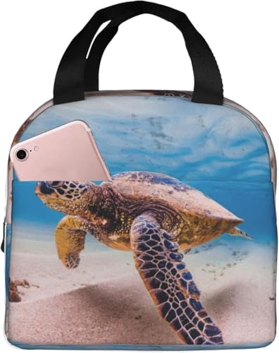 nCA AIE~K ۗ⃉`obO ٓ 킢 e ܂ y RpNg fMA~V[g |Pbgt g[gobN