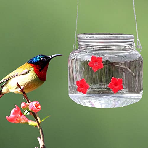 Hilivesvalue 2Pack Mason Jar Hummingbird Feeder With Flower Feeding Ports, Wild Birds Feeding Jar, Portable Clear 800Ml Reservoir Design, For Outdoors Hanging Yard Garden Decoration #TOP1