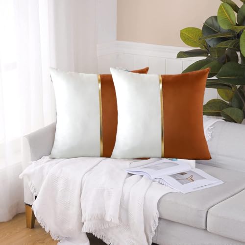 Image of HIMS Velvet Sofa Pillow Cover Set of 2, Luxury Cushion Cover 16 inch x 16 inch for Decorative Living Room Sofa Bedroom Car (16x16 Inch, Brown)