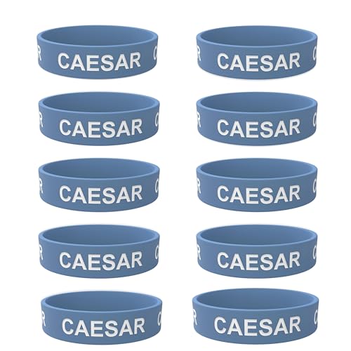Rousse Bands Caesar Dressing Label Band - Silicone Squeeze Bottle Label for 16oz, 20oz, 24oz, 32oz Caesar Squirt Bottle Containers - Printed Colored Food Labels for Restaurant, Food Truck (10)