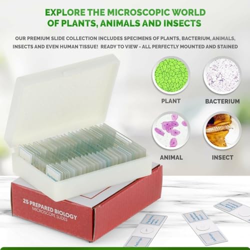 AmScope : Acquista TUTTI i vetrini per microscopio