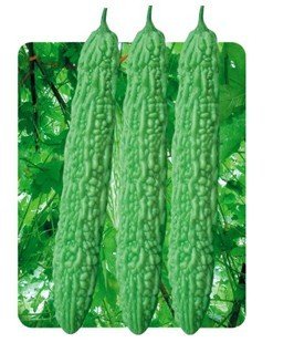 SD0392 Green Wong Bitter Melon Vegetable Seeds, Balsam Pear Guaranteed Live Vegetable Seeds, Non-Genetically Modified Seeds (6 Seeds)
