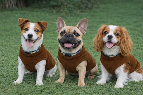 Image of JACKO & CO - Fleece Vest Dog Sweater with Leash Ring - Soft, Warm & Lightweight Pullover Coat for Small & Medium Dogs, Puppies & Cats - Cozy Fall /Winter /Spring Pet Jacket (Brown, XXL 25-35lbs)