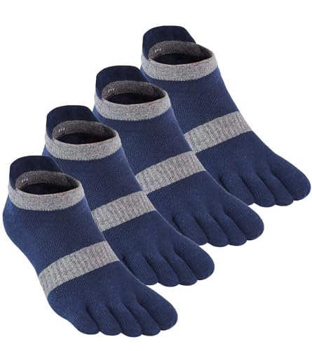 [WIOIW] 5{w\bNX Y ܖ{wC X|[c\bNX  j jO v 4Zbg