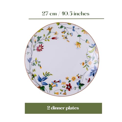Image of GOLDEN QUEEN'S Handcrafted Dinner Plates: Set of 2 | Perfect for Hosting and Daily Meals | Microwave Safe Plates | 11 inch | Serves 2 - Summer Florals Dinner Plates