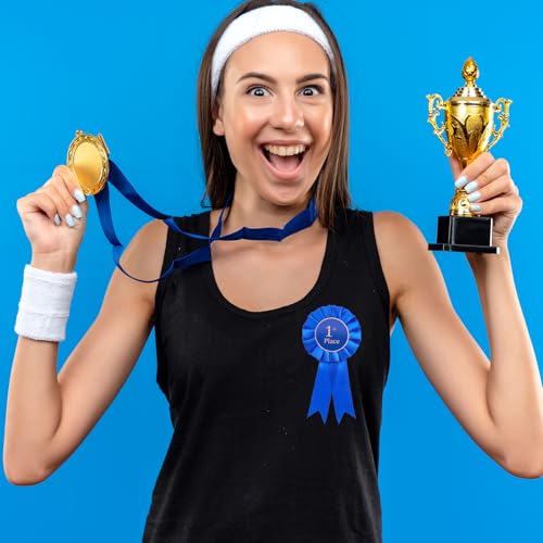 3 Pcs 1st Place Ribbon Award Rosette Ribbons Blue Winner Victory Prize Ribbon Grand Prize Award Honorable Medal Ribbons for Classroom Competition Sports Events