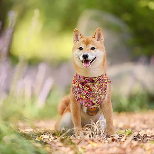 Pai Sence 240112-1 30 Pcs Paisley Bandanas For Dog Cats Polyester Print One Side Bandana Bulk thumb #4