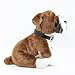 Kuscheltier Hund Boxer + Halsband 27 cm Plüschtier Stofftier Plüschhund Stoffhund