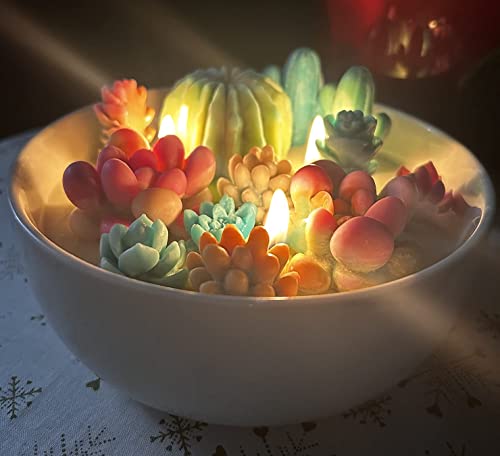 Navani Succulent Silicone Mold, Cactus Resin Mold, Candle Mold Silicone For Diy Handmade Soap, Candle, Cake Decoration - 9 Pcs #TOP2