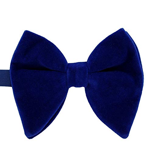 Ecravate - Noeud papillon homme en velours surdimensionné Bleu Cover