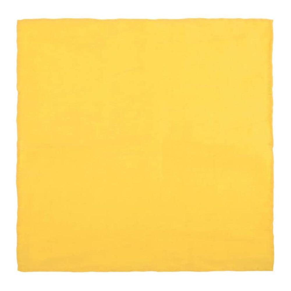 the tie hub Solid Silk Pocket Square For Men-picture-22