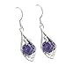 Produktbild dfgjdryt lohnende Ohrringe für Frauen mit Purple Zirconia Ohrringe 925 Silber S925 Silber Silber Silber Silber Silber Silber Silber -Plate Retro Ohrringe(None ES112)