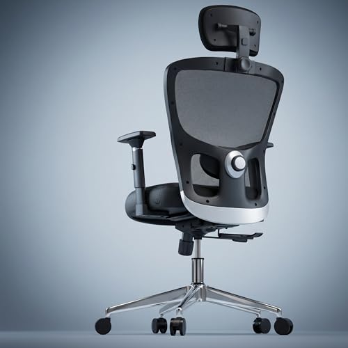 Image of Urbanova Pro Ergonomic Office Chair for Work | Multi-Lock with Seat Slider | 5 Year Warranty | 3D Armrest | Adjustable Lumbar (3D with 4 Position Lock, seat Slider)