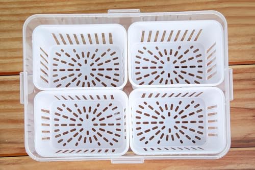 Image of RANIC Plastic Fridge Storage Boxes Freezer Storage Containers, Container For Kitchen Storage Set, Storage In Kitchen, Vegetable Storage,Refrigerator Food Box (4 Grid)