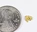 Alaskan-Yukon BC Gold Rush Natural Gold Nugget 0.28 Grams Genuine
