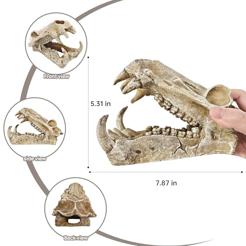 Image of Dinosaur Skull Aquarium Decor - Ideal for Fish Tank Decorations, Terrarium Decor, Aquarium Ornaments, and Bearded Dragon & Gecko Tank Accessories, Gift for Reptile & Fish Lovers
