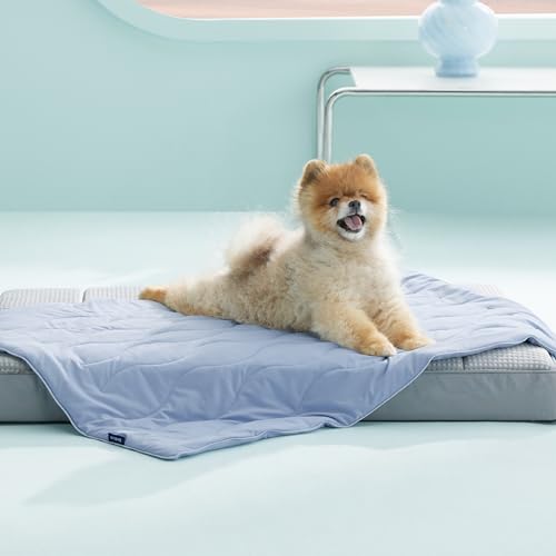 Bedsure ArcticMax™ Q-MAX>0.5 Premium Cooling Blanket for Small Dog，25x35”