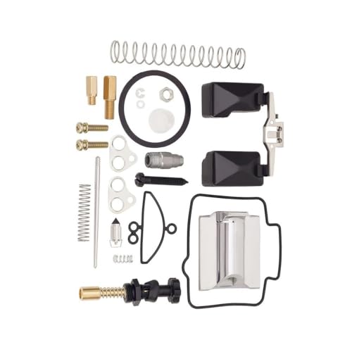 Kit de réparation carburateur moto résout les problèmes de démarrage OKO 250cc-400cc