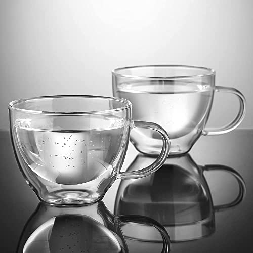 ecooe Double Wall Glass Mugs