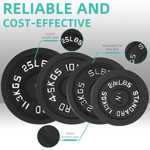 Fitvids Cast Iron 1" Standard Weight Plates Including 5FT Standard Barbell Bar & Star Locks, 95 Pounds Set (85 Lbs Plates + 10 Lbs Barbell Bar), Multiple Packages image 3