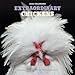 Extraordinary Chickens 2020 Wall Calendar: Extraordinary Chickens 2020 Wall Calendar