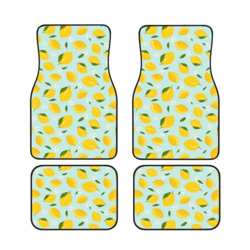 Alfombrillas antideslizantes de coche juego de 4 piezas de neopreno impermeable