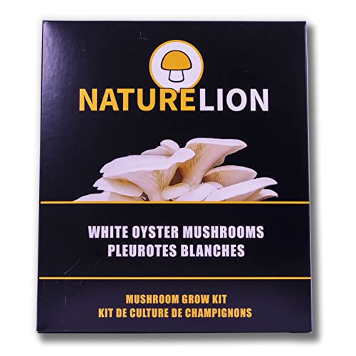 White Oyster Mushroom Grow Kit Vegetable Plant Seeds Indoor