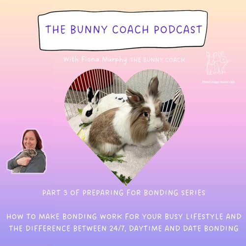 #28 - PART THREE OF PREPARING FOR BONDING SERIES - HOW TO MAKE BONDING WORK FOR YOUR BUSY LIFESTYLE AND THE DIFFERENCE BETWEEN 24/7, DAYTIME AND DATE BONDING