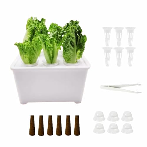 Dotspunt 【自宅で水耕栽培】6穴 無土壌栽培ボックス 家庭菜園 水耕栽培キット 室内/屋外兼用 栽培セット 初心者向け 野菜/果物/ハーブ/花 栄養豊富 新鮮収穫 四季適用 簡単設置 耐久性素材(ホワイト)