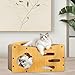 Bassadoro Cat Scratcher House with Scratching Bed - Sturdy Multi-Level Playground for Kittens & Cats, Prevents Furniture Damage, Wear Resistant Gift- 56cmx29cmx32cm