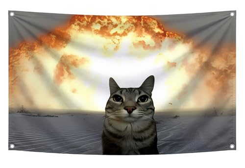 3x5 Feet Funny Cat College Dorm Posters with 4 Brass Grommets - Single Sided Flag for Guys and Girls - Polyester Wall Banners for Decoration Bedroom or Office - Cool Animals Flags for Kids Room Decor