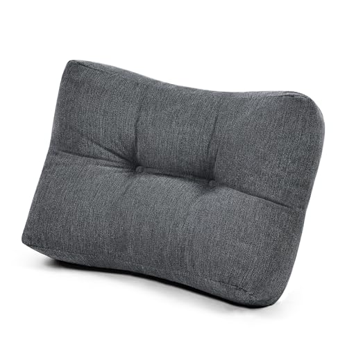 Shinnwa Lumbar Support Pillow for Office Chair, Memory Foam Back Support Pillow for Back Pain Relief, Car, Chair and Couch, 17.5 x 11.5 x 5.5in, Charcoal