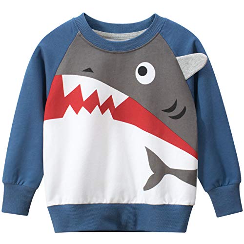 Little Boys Sweatshirts Pullover Cotton Baby Cotton Casual Crewneck Long Sleeve Toddler Top T-Shirt Outdoor