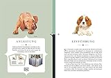 Naturelove. 50 besondere Hunde: Vom Beagle bis zum Zwergspitz. Ein Buch wird zum Kunstwerk