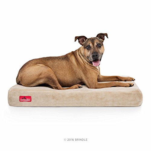 BRINDLE Waterproof Memory Foam Pet Bed - Removable and Washable Cover - 4 Inch Orthopedic Dog and Cat Bed - Fits Most Crates, Khaki