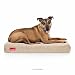 Brindle 4" Solid Memory Foam Orthopedic Dog Bed with Removable Waterproof Velour Cover, Large 46" x 28", Khaki