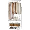 Amazon.com: HOMYTECH Small Clothing Rack with Double Shelves, Portable ...
