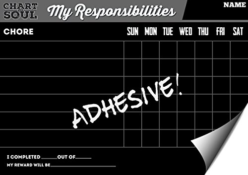 Chalkboard Chore Refrigerator Chart with Rewards - Responsibility and Activity Star Calendar - for Home, Kitchen and Classroom - 12