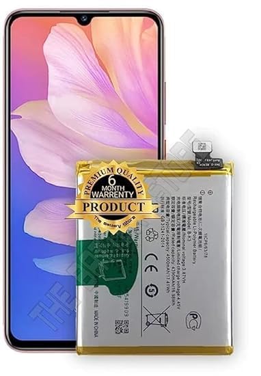 Image of THE BATTERY STORE Original B-K3 Battery for Vivo S1Y9s /V1945A /V1945T /1920 /PD1945F EX 1920 20 for /Y9S, S1 Pro, 1920, Y9S Battery with 6 Month Warranty**** (PPP45)