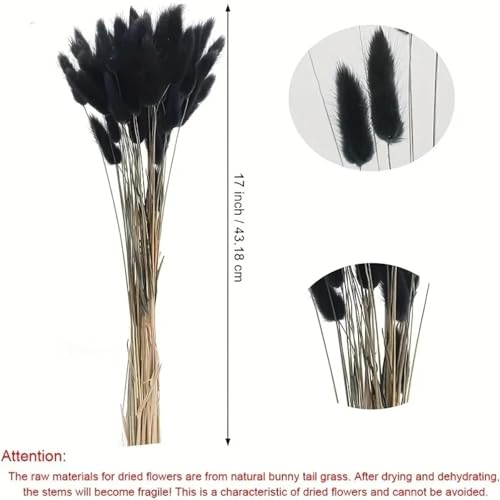 Pampas Grass Decor Tall 50Pcs 45 cm Flores Secas Negras miniatura 4