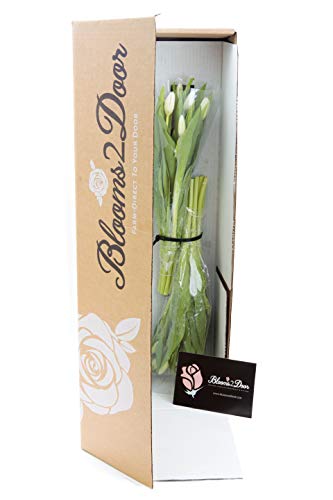 blooms2door prime next day delivery - fall collection - fresh cut 20 white tulips gift for birthday anniversary get well thank you valentine mothers day fresh flowers