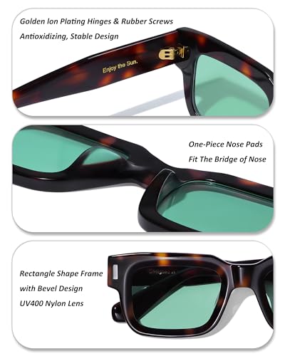 Image of Roneyee Non Polarized Acetate Sunglasses RY-A08 Frame with UV Protection Impact Resistant Nylon Lens Retro Unisex