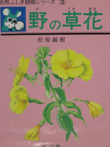Amazon.co.jp: 松原 巌樹: 本、バイオグラフィー、最新アップデート