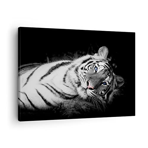 Moderne Impression sur Toile Blanc Tigre Noir Et Blanc Image Tableau Decoration Murale 70x50cm Deco Cadre Décoration Salon Chambre Cuisine Horizontal Tableaux...