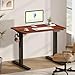 FLEXISPOT EN1 Whole-Piece Standing Desk 40x24 Electric Adjustable Height Small Desk Heavy Duty Steel Stand Up Desk (EBlack Frame+Mahogany Top, 2 Packages)