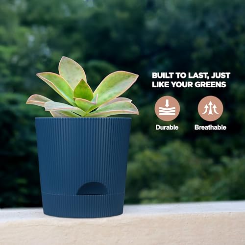 Image of GYOPOTS Self-Watering 11.5 cm Flower Pot for Living Room and Home Decor | Premium Ribbed Texture with self-watering system | Pack of 4 (2 Blue + 2 Brown) with Free Cocopeat | For Indoor & Outdoor Use