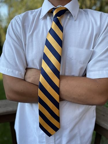 Image of tiemart Men's Striped Tie Standard Length