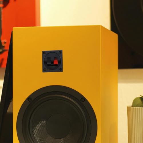 Toddmomy Conectores de Bornes de Conexión de Audio para Altavoces 2 Unidades Terminales Metálicos Cuadrados Negros Accesorios para Cajas Acústicas Uso en Cine en Casa y Conferencias - imagen 9